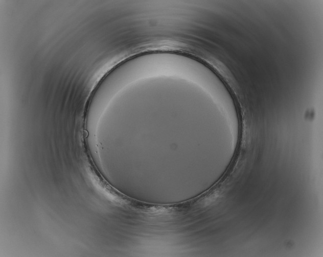 X0000111220850200907161249