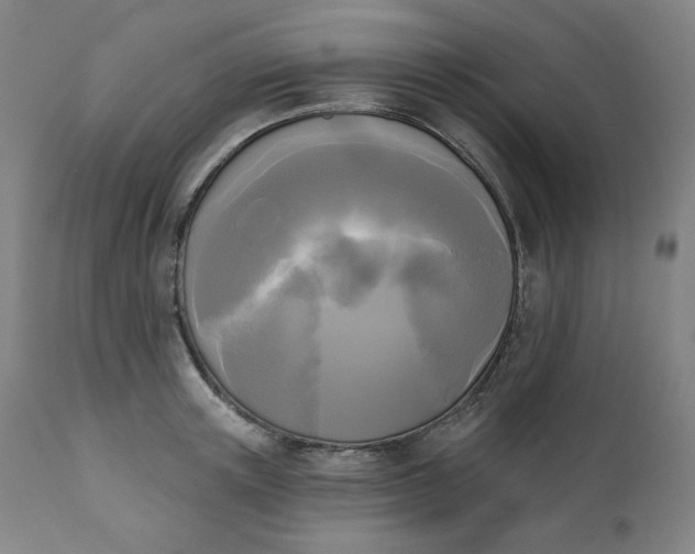 X0000111220851200907161249