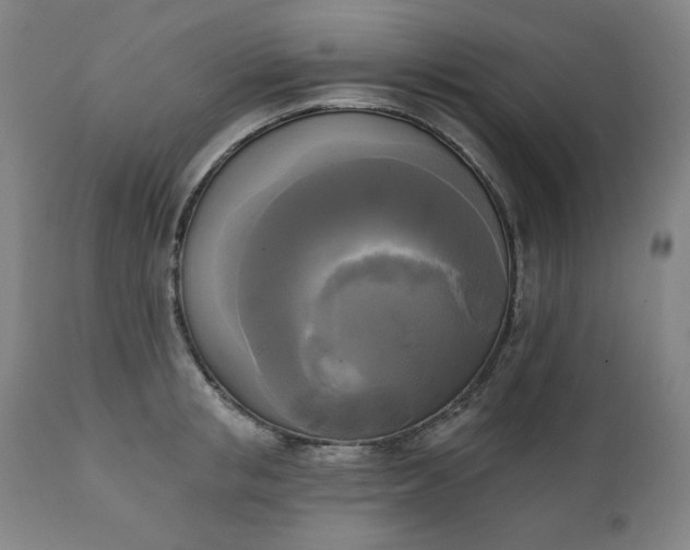 X0000111220853200907161249