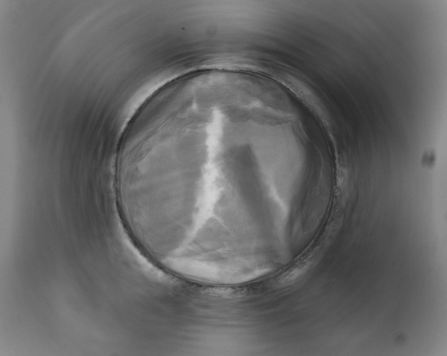 X0000111220855200907161249