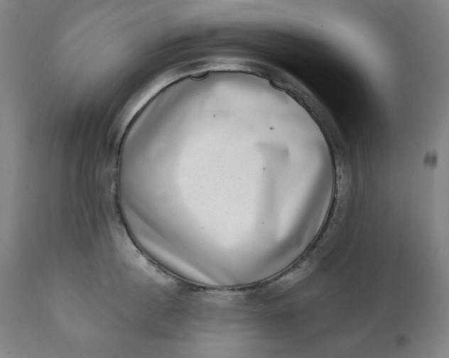 X0000111220860200907161249