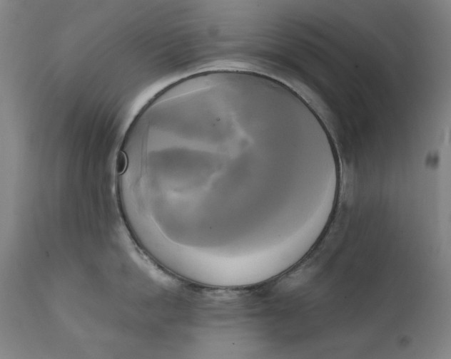 X0000111220862200907161249