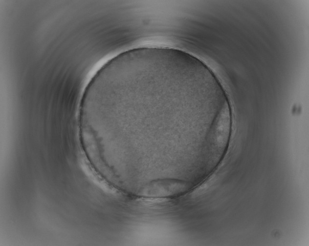 X0000111220864200907161249