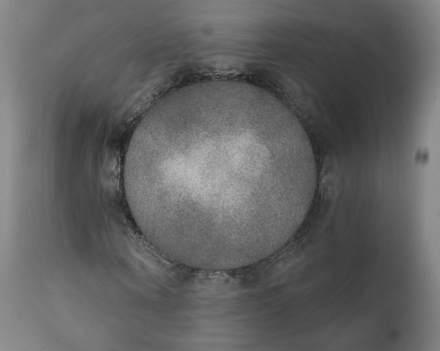 X0000111220866200907161249