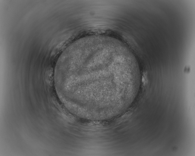X0000111220867200907161249