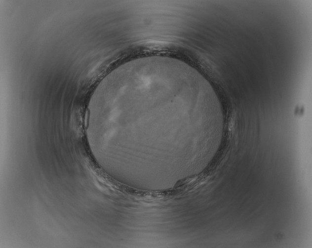 X0000111220868200907161249