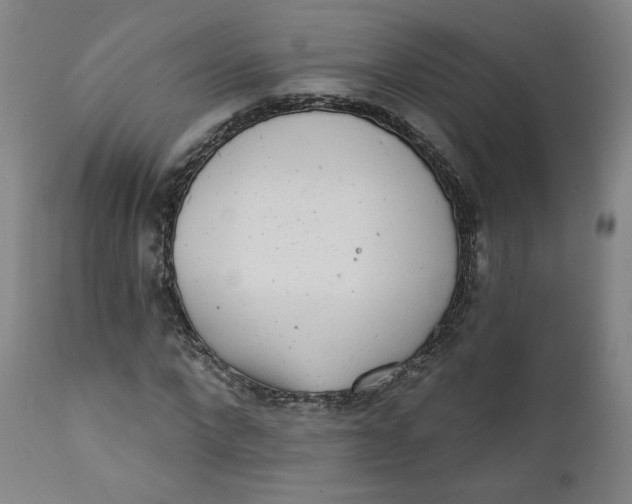 X0000111220872200907161249
