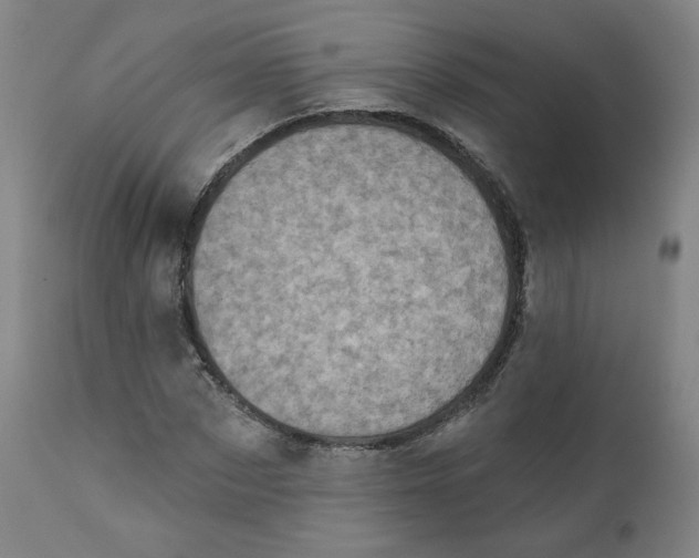 X0000111220873200907161249