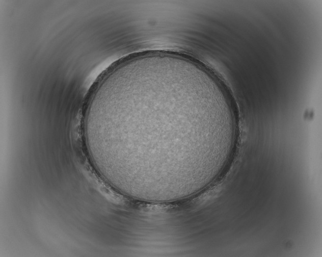 X0000111220875200907161248