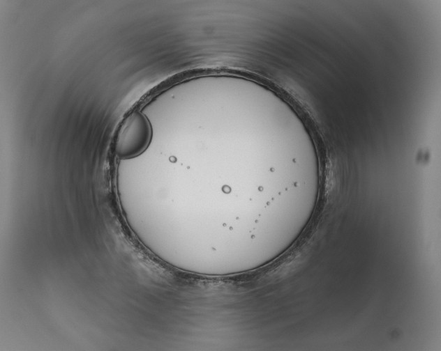 X0000111220876200907161248