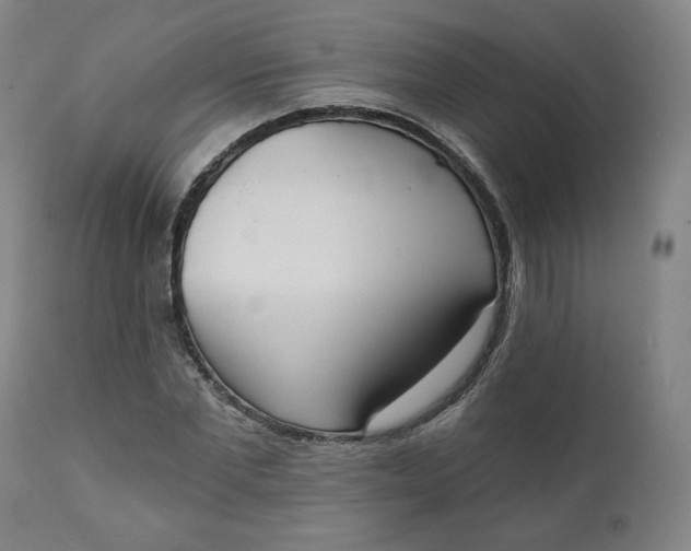 X0000111220877200907161248