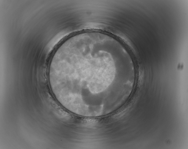 X0000111220878200907161248