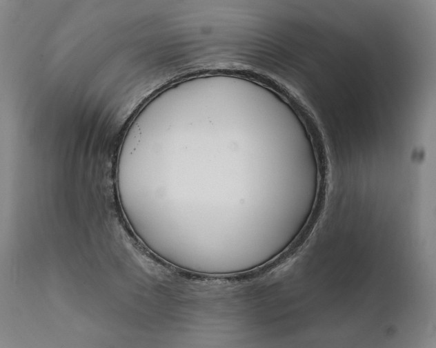 X0000111220881200907161248