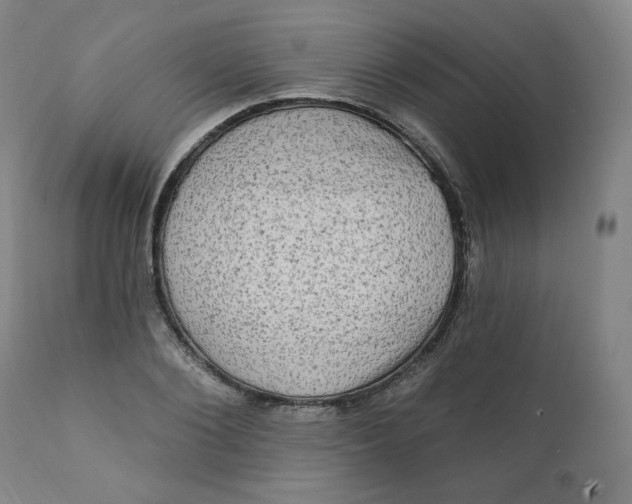 X0000111220884200907161248