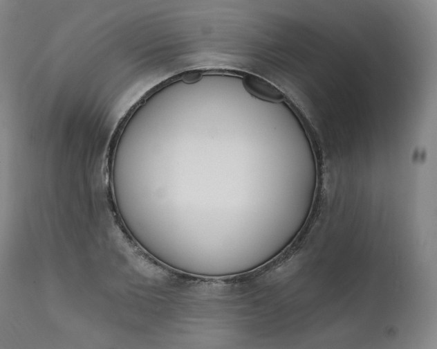 X0000111220885200907161248