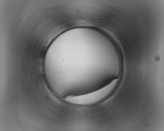 X0000111220889200907161248