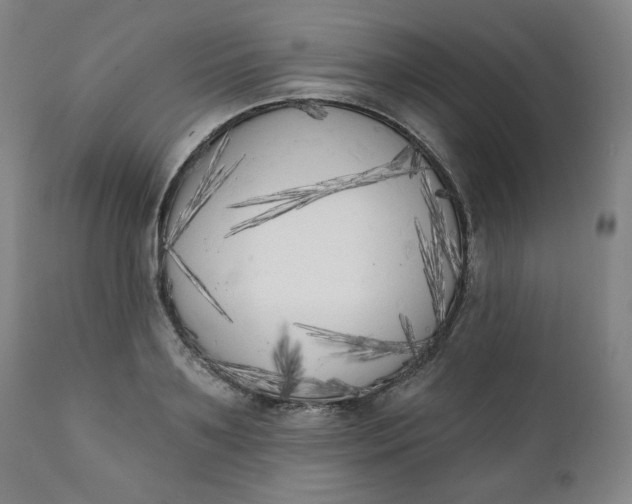 X0000111220891200907161248