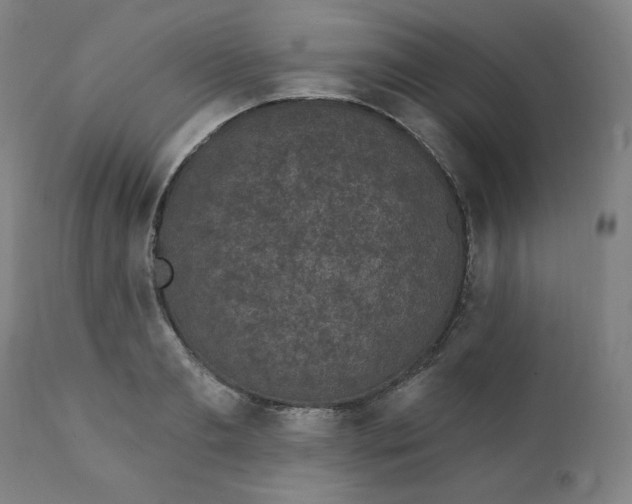 X0000111220893200907161248