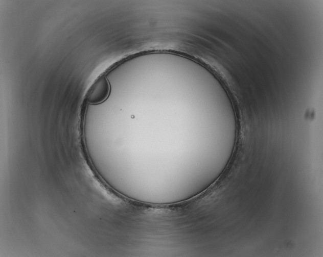X0000111220894200907161248