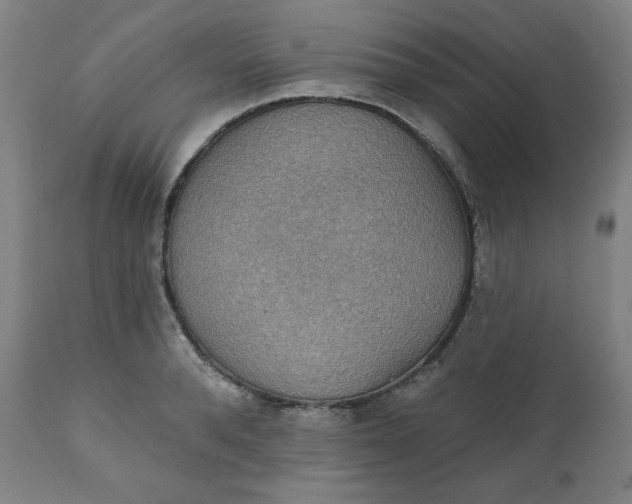 X0000111220896200907161248