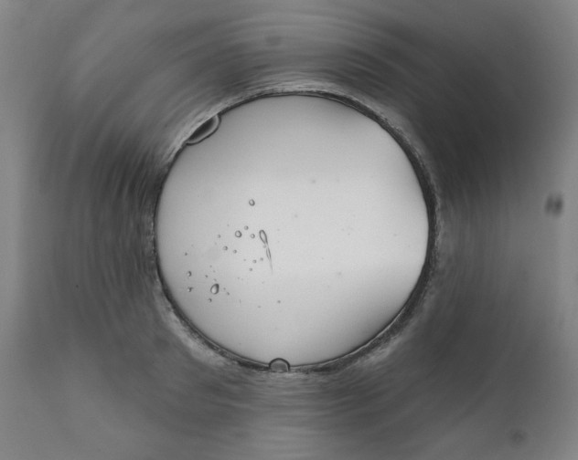 X0000111220897200907161248