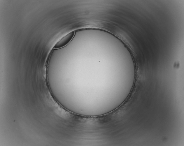 X0000111220900200907161248
