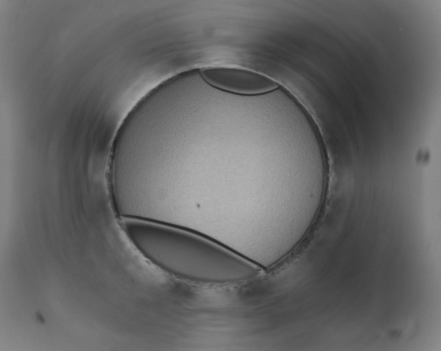 X0000111220901200907161248