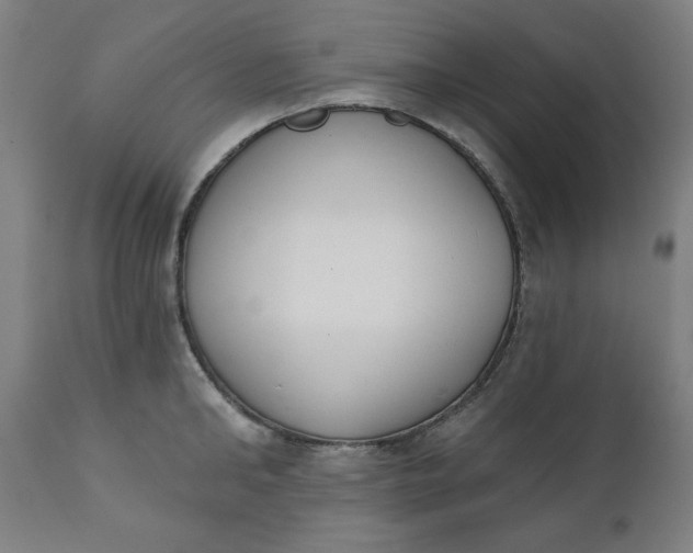 X0000111220902200907161248