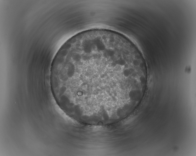 X0000111220903200907161248