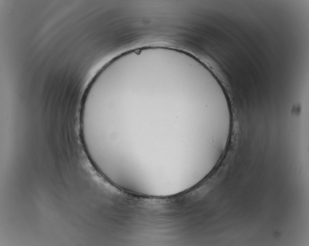X0000111220904200907161248