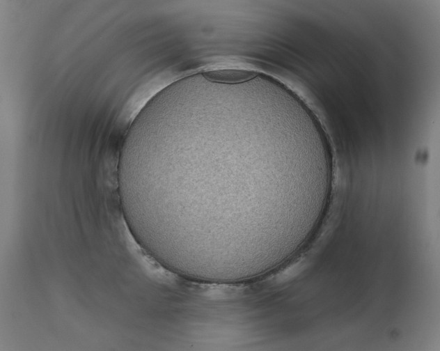 X0000111220905200907161248