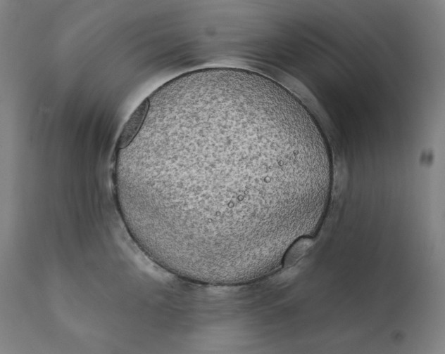 X0000111220908200907161248