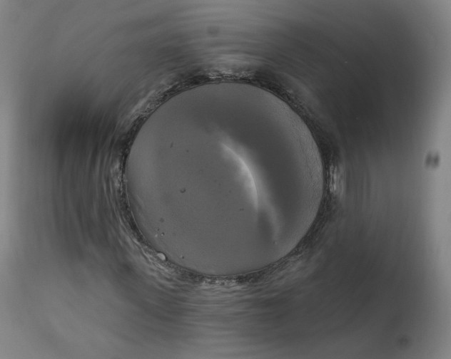 X0000111220915200907161247