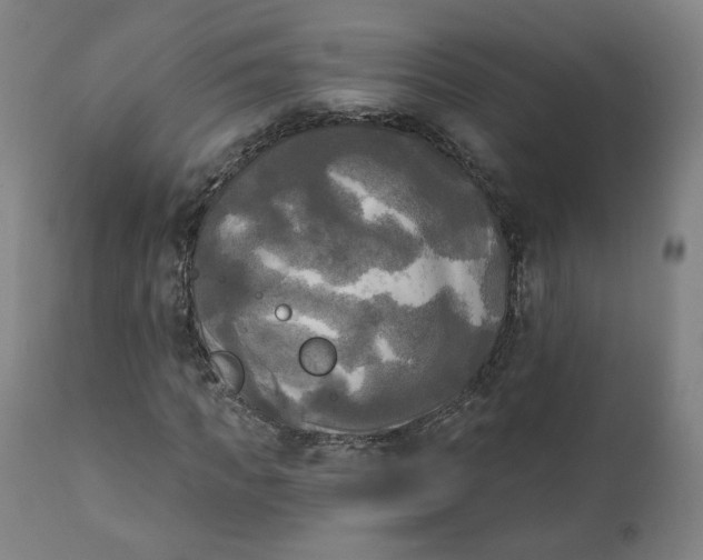 X0000111220917200907161247