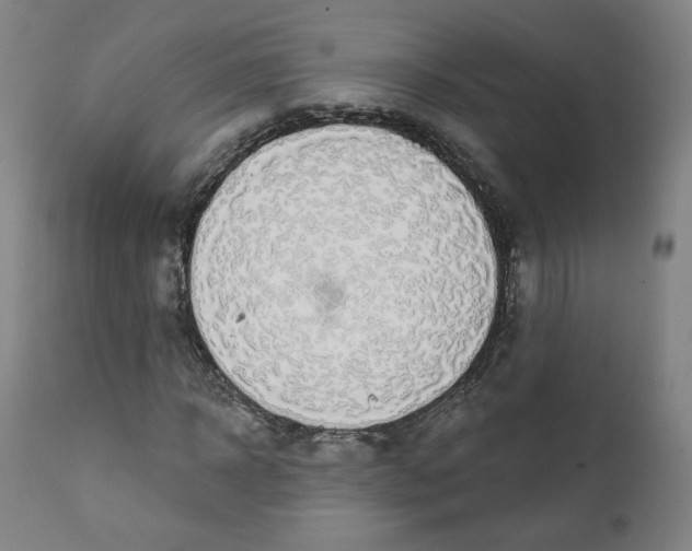 X0000111220918200907161247