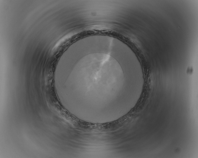 X0000111220920200907161247