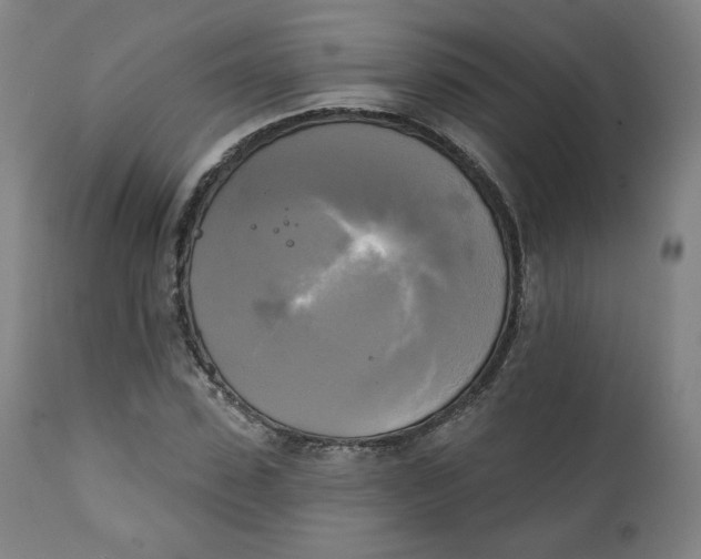 X0000111220923200907161247