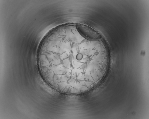 X0000111220924200907161247