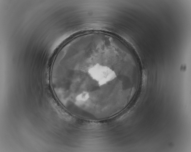 X0000111220925200907161247