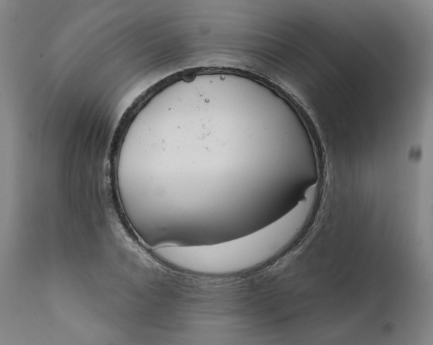 X0000111220928200907161247