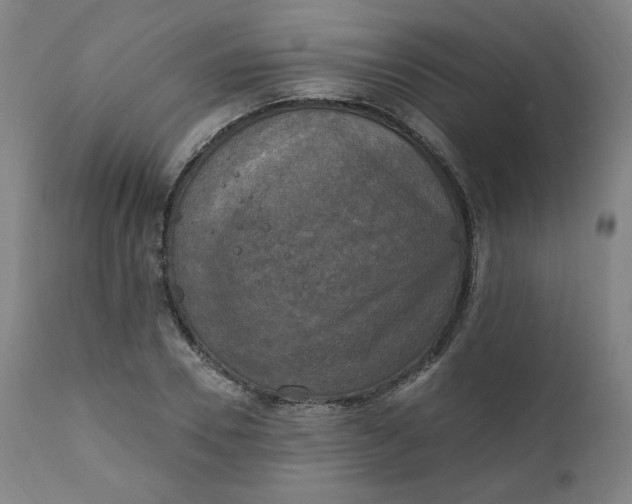 X0000111220930200907161247