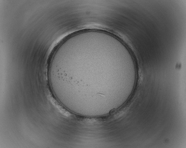 X0000111220931200907161247