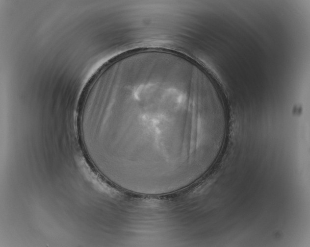 X0000111220932200907161247