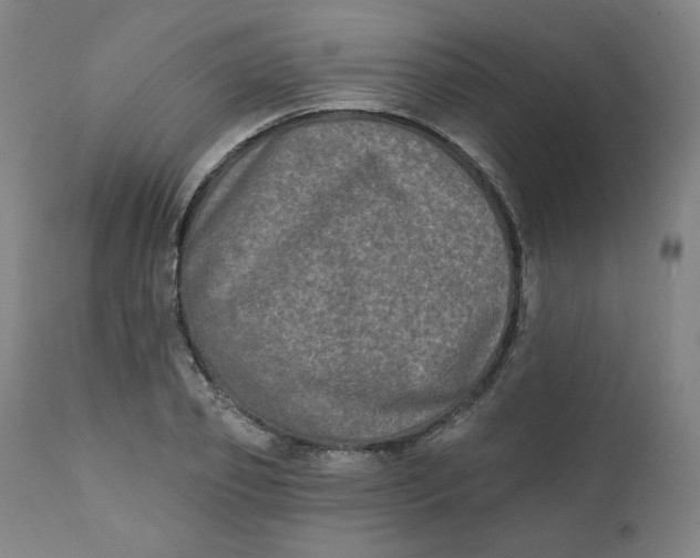 X0000111220933200907161247