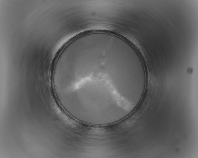 X0000111220935200907161247