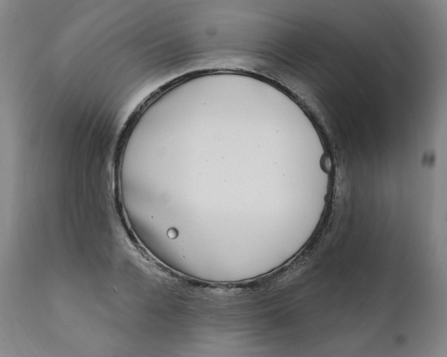 X0000111220936200907161247
