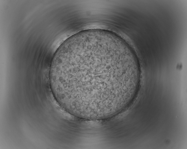 X0000111220937200907161247
