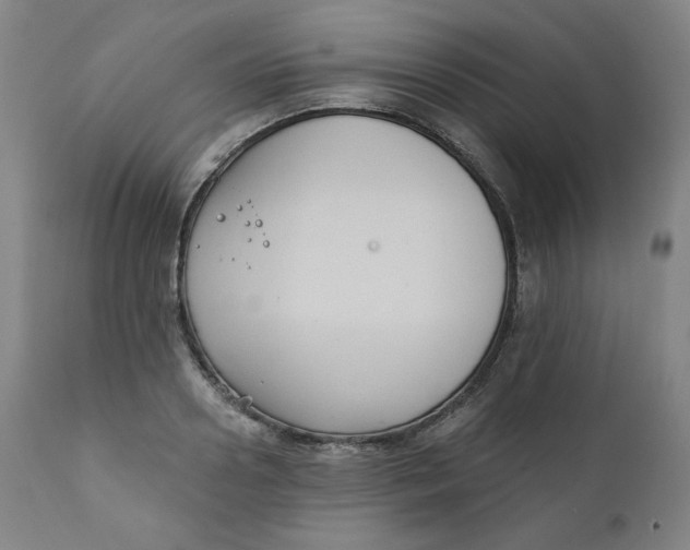 X0000111220938200907161247