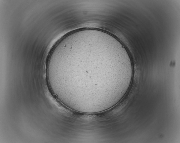 X0000111220939200907161247