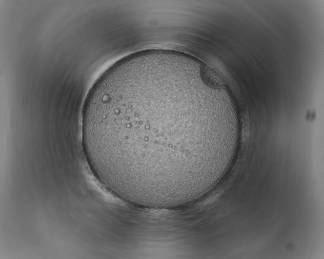 X0000111220940200907161247